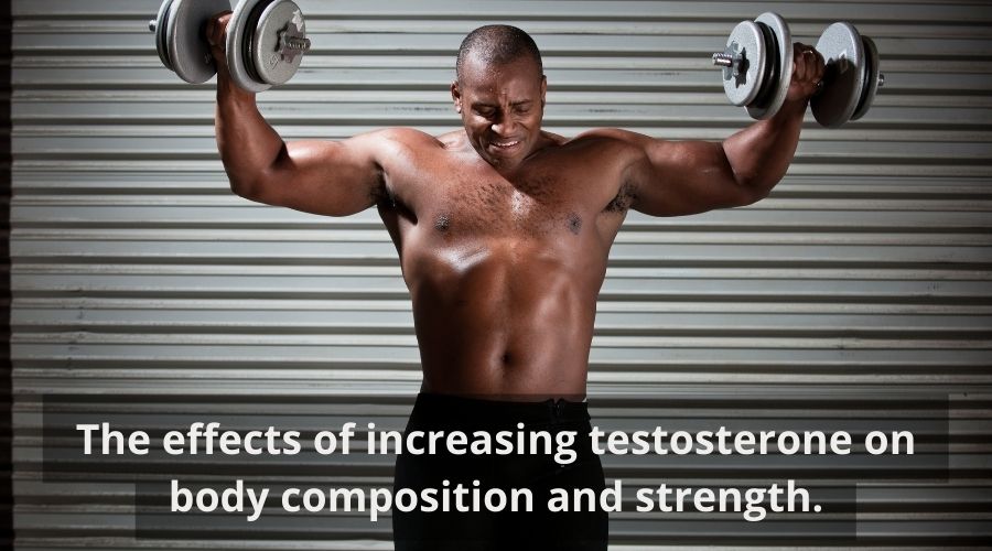 The effects of increasing testosterone on body composition and strength